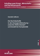 Dzenefa Celikovic, Barbara Völzmann-Stickelbrock - Die Rechtsbehelfe in der Zwangsvollstreckung - zwischen Reformbedarf und bewährter Komplexität