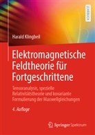Harald Klingbeil - Elektromagnetische Feldtheorie für Fortgeschrittene