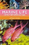 Lawson Wood, Wood Lawson - Marine Life of the Mediterranean