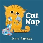 Steve Antony - Cat Nap