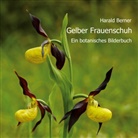 Harald Berner - Gelber Frauenschuh