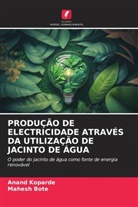 Mahesh Bote, Anand Koparde - PRODUÇÃO DE ELECTRICIDADE ATRAVÉS DA UTILIZAÇÃO DE JACINTO DE ÁGUA