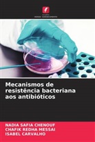 Isabel Carvalho, Nadia Safia Chenouf, Chafik Redha Messai - Mecanismos de resistência bacteriana aos antibióticos