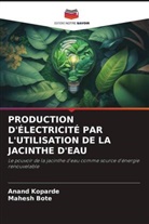 Mahesh Bote, Anand Koparde - PRODUCTION D'ÉLECTRICITÉ PAR L'UTILISATION DE LA JACINTHE D'EAU