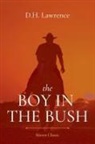 D. H. Lawrence - The Boy in the Bush