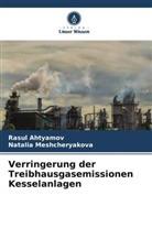 Rasul Ahtyamov, Natalia Meshcheryakova - Verringerung der Treibhausgasemissionen Kesselanlagen