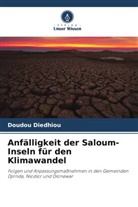 Doudou Diedhiou - Anfälligkeit der Saloum-Inseln für den Klimawandel