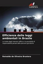 Reinaldo de Oliveira Bruniera - Efficienza delle leggi ambientali in Brasile