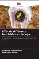 Narendra Singh Gurjar, Brajkishor Rajput - Effet de différents herbicides sur le soja