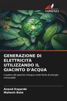 Mahesh Bote, Anand Koparde - GENERAZIONE DI ELETTRICITÀ UTILIZZANDO IL GIACINTO D'ACQUA