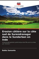 Bablu Samanta - Erosion côtière sur la côte sud de Surendranagar dans le Sundarban en Inde