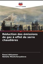 Rasul Ahtyamov, Natalia Meshcheryakova - Réduction des émissions de gaz à effet de serre chaudières