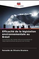 Reinaldo de Oliveira Bruniera - Efficacité de la législation environnementale au Brésil
