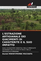 Daniel Mwinyipembe Muchapa - L'ESTRAZIONE ARTIGIANALE DEI GIACIMENTI DI CASSITERITE E IL SUO IMPATTO