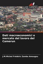 J. M. Michel Frédéric Zambo Amougou, J.M.Michel Frédéric Zambo Amougou - Dati macroeconomici e mercato del lavoro del Camerun