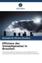 Reinaldo de Oliveira Bruniera - Effizienz der Umweltgesetze in Brasilien