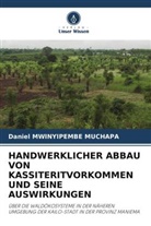 Daniel Mwinyipembe Muchapa - HANDWERKLICHER ABBAU VON KASSITERITVORKOMMEN UND SEINE AUSWIRKUNGEN