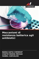 Isabel Carvalho, Nadia Safia Chenouf, Chafik Redha Messai - Meccanismi di resistenza batterica agli antibiotici