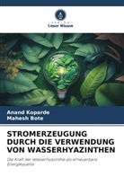 Mahesh Bote, Anand Koparde - STROMERZEUGUNG DURCH DIE VERWENDUNG VON WASSERHYAZINTHEN