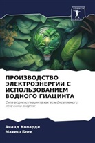 Mahesh Bote, Anand Koparde - PROIZVODSTVO JeLEKTROJeNERGII S ISPOL'ZOVANIEM VODNOGO GIACINTA