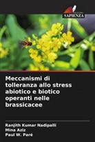 Mina Aziz, Ranjith Kumar Nadipalli, Paul W. Paré - Meccanismi di tolleranza allo stress abiotico e biotico operanti nelle brassicacee