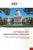 Amir Gahmia - Le français dans l'administration algérienne