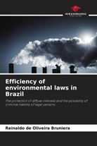 Reinaldo de Oliveira Bruniera - Efficiency of environmental laws in Brazil