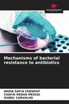 Isabel Carvalho, Nadia Safia Chenouf, Chafik Redha Messai - Mechanisms of bacterial resistance to antibiotics
