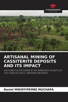 Daniel Mwinyipembe Muchapa - ARTISANAL MINING OF CASSITERITE DEPOSITS AND ITS IMPACT