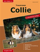 Katharina Scholl - Traumrasse: Collie