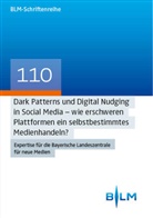 Rudolf Kammerl, Michaela Kramer, Jane Müller, Jane u a Müller, Katrin Potzel, Moritz Tischer... - Dark Patterns und Digital Nudging in Social Media - wie erschweren Plattformen ein selbstbestimmtes Medienhandeln?