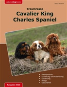 Jessica Neudorff - Traumrasse: Cavalier King Charles Spaniel