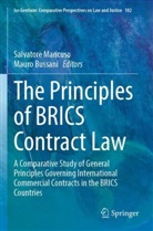 Bussani, Mauro Bussani, Salvatore Mancuso - The Principles of BRICS Contract Law