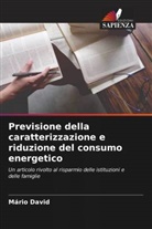 Mário David - Previsione della caratterizzazione e riduzione del consumo energetico