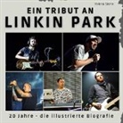Valeria Stone - Ein Tribut an <br> Linkin Park