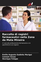 Henrique Felippe, Emílio Augusto Godinho Merigui, Leonam Souza - Raccolta di registri farmaceutici nella Zona da Mata Mineira