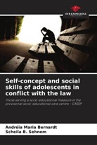 Andréia Maria Bernardt, Scheila B. Sehnem - Self-concept and social skills of adolescents in conflict with the law