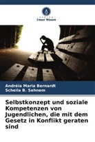 Andréia Maria Bernardt, Scheila B Sehnem, Scheila B. Sehnem - Selbstkonzept und soziale Kompetenzen von Jugendlichen, die mit dem Gesetz in Konflikt geraten sind