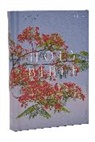 Catholic Bible Press, Catholic Bible Press - Nrsv Catholic Edition Bible, Royal Poinciana Hardcover Global Cover