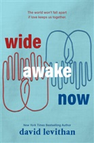 David Levithan - Wide Awake Now