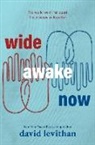 David Levithan - Wide Awake Now
