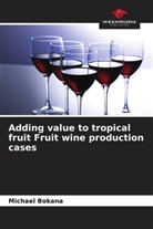 Michael Bokana - Adding value to tropical fruit Fruit wine production cases