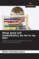 Walter Castellanos Juárez - What good will mathematics do me in my life?