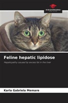 Karla Gabriela Memare - Feline hepatic lipidose