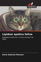 Karla Gabriela Memare - Lipidosi epatica felina
