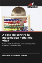 Walter Castellanos Juárez - A cosa mi servirà la matematica nella mia vita?