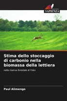 Paul Alimengo - Stima dello stoccaggio di carbonio nella biomassa della lettiera
