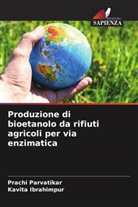 Kavita Ibrahimpur, Prachi Parvatikar - Produzione di bioetanolo da rifiuti agricoli per via enzimatica