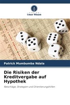 Patrick Mumbumba Ndala - Die Risiken der Kreditvergabe auf Hypothek