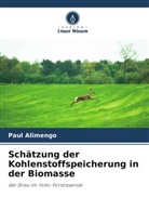 Paul Alimengo - Schätzung der Kohlenstoffspeicherung in der Biomasse